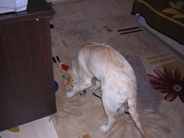 Original image